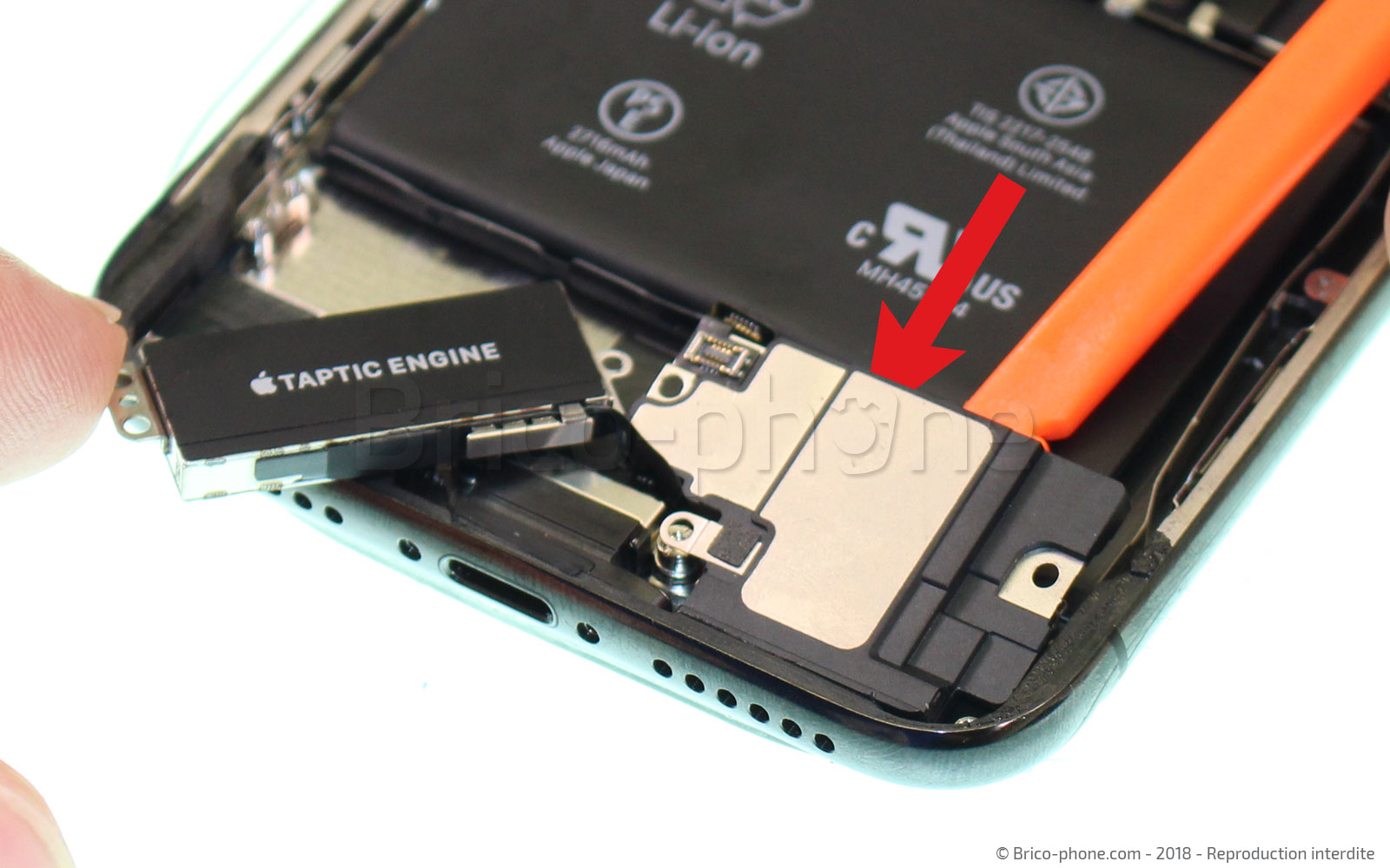 Changement du vibreur Taptic Engine sur iPhone X photo 1