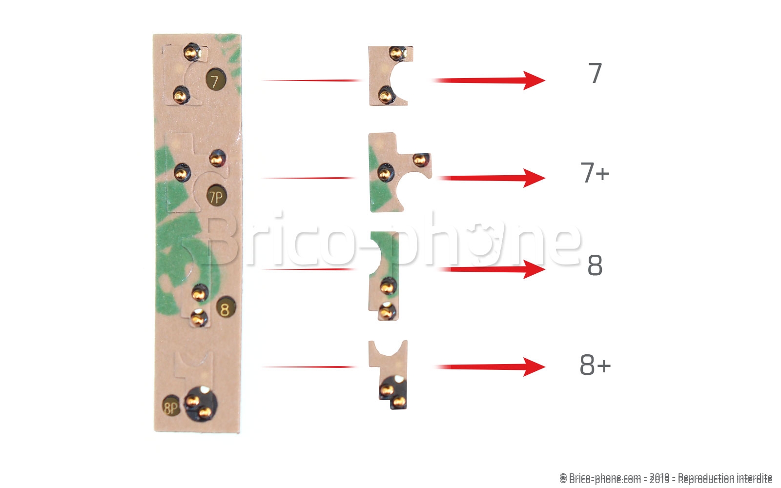 Changement de nappe du bouton Home sur iPhone 7 photo 3