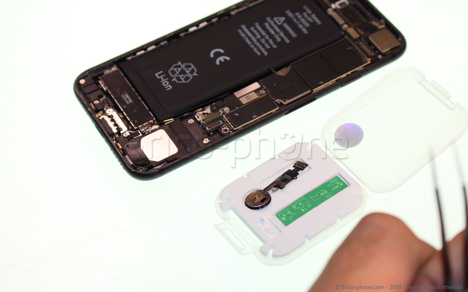 Changement de nappe du bouton Home sur iPhone 7 photo 1