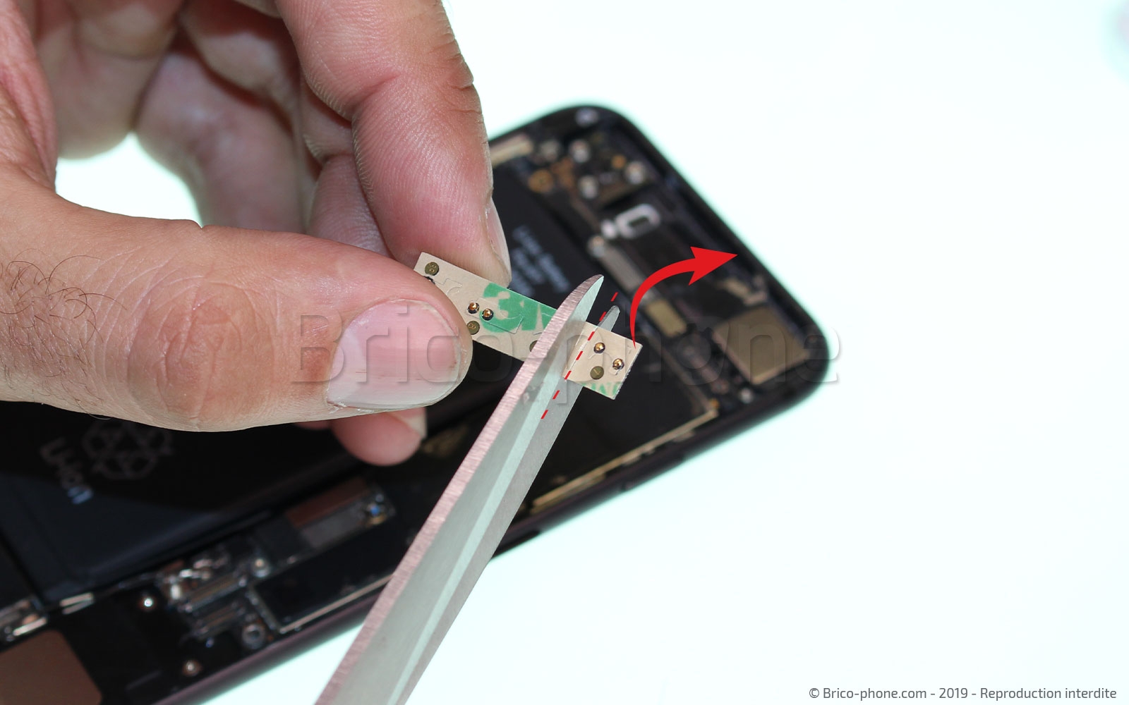 Changement de nappe du bouton Home sur iPhone 7 photo 4