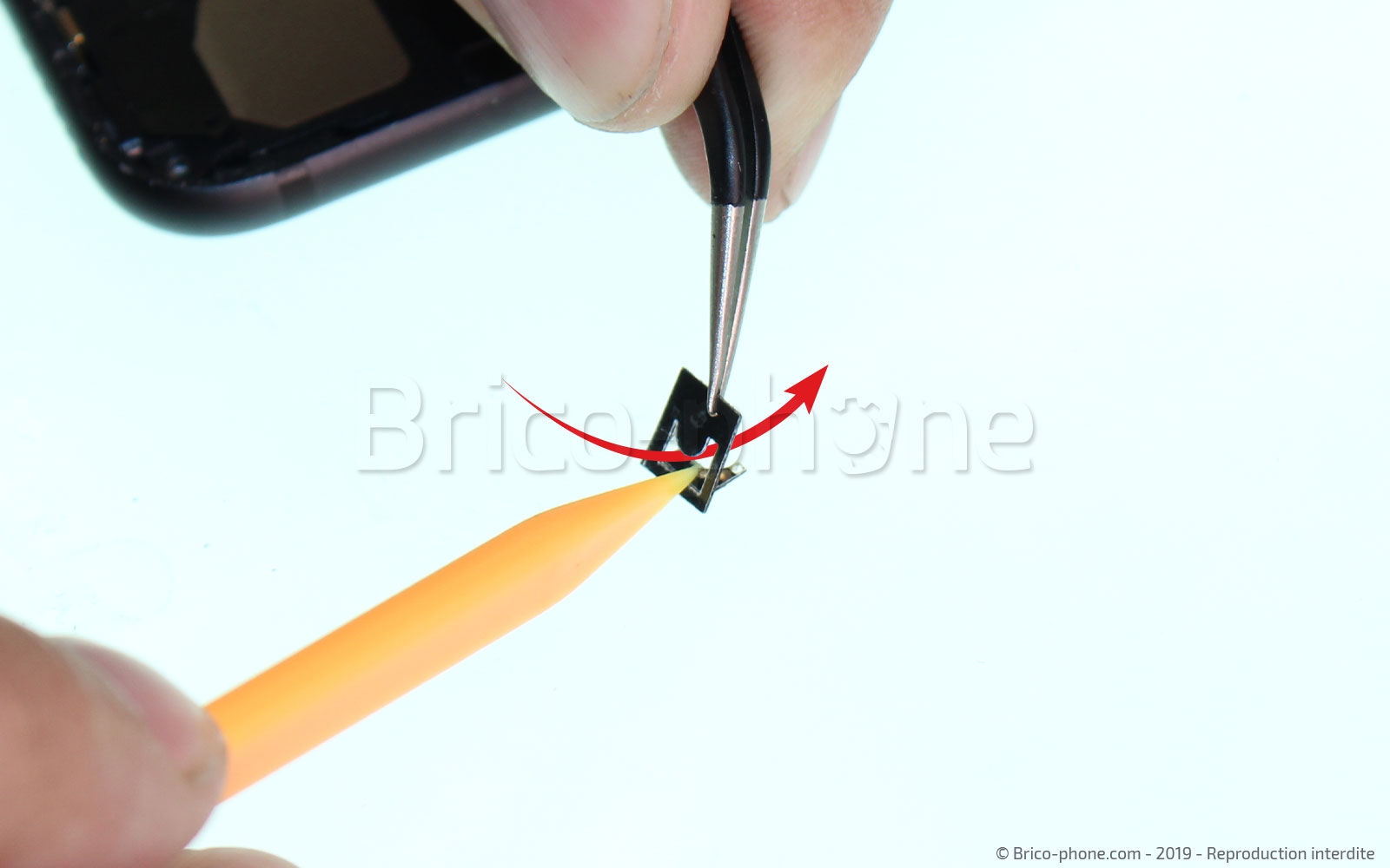 Changement de nappe du bouton Home sur iPhone 7 photo 1