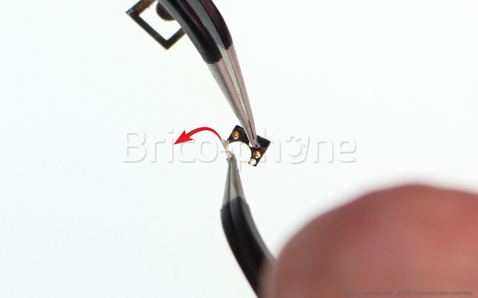 Changement de nappe du bouton Home sur iPhone 7 photo 2