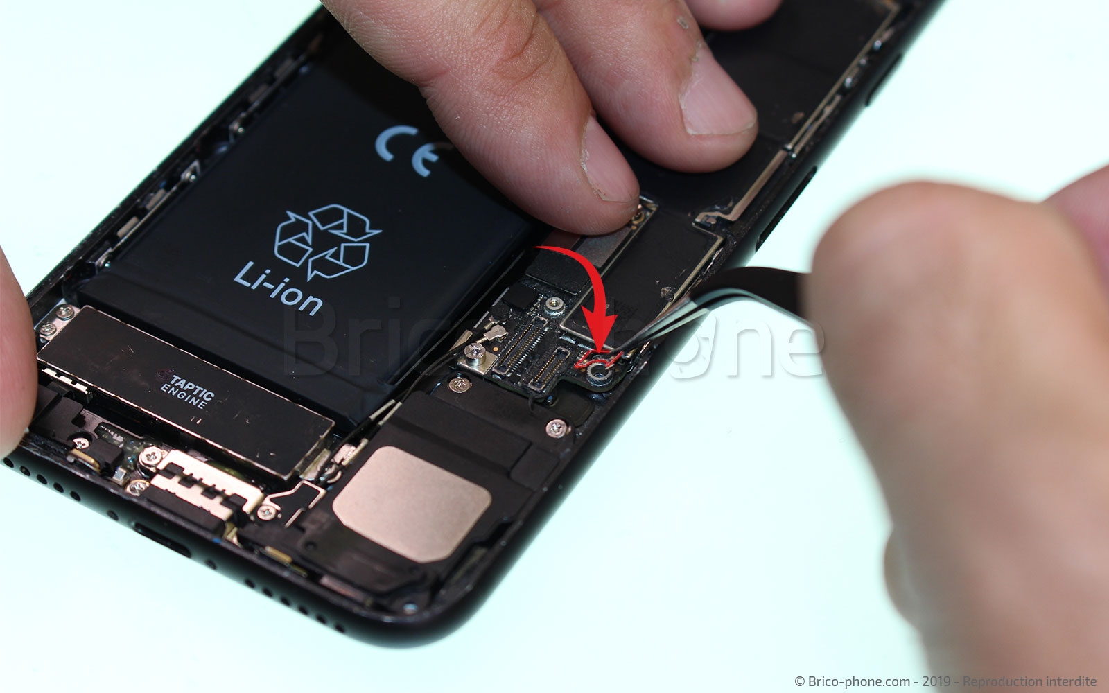 Changement de nappe du bouton Home sur iPhone 7 photo 3