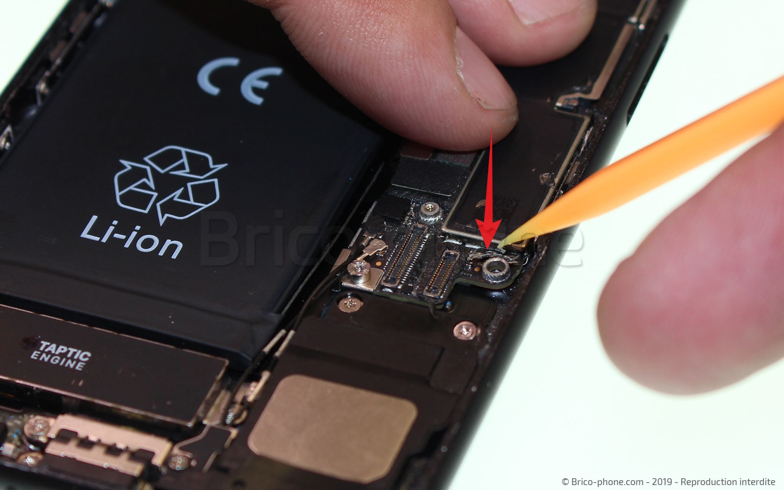 Changement de nappe du bouton Home sur iPhone 7 photo 1