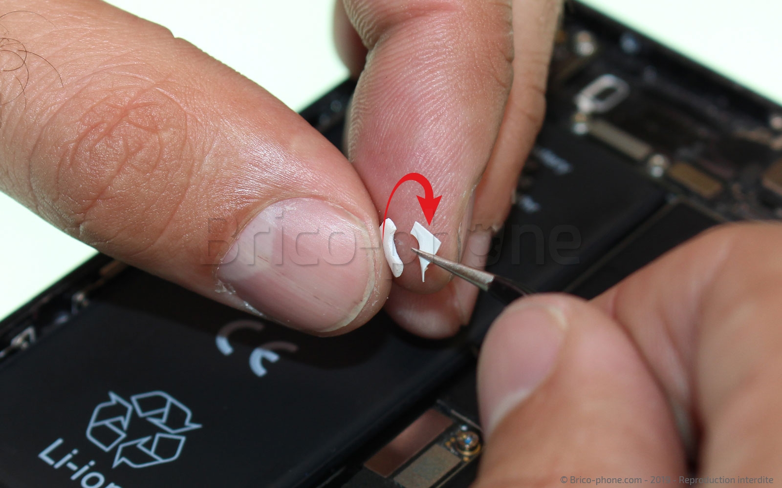 Changement de nappe du bouton Home sur iPhone 7 photo 2