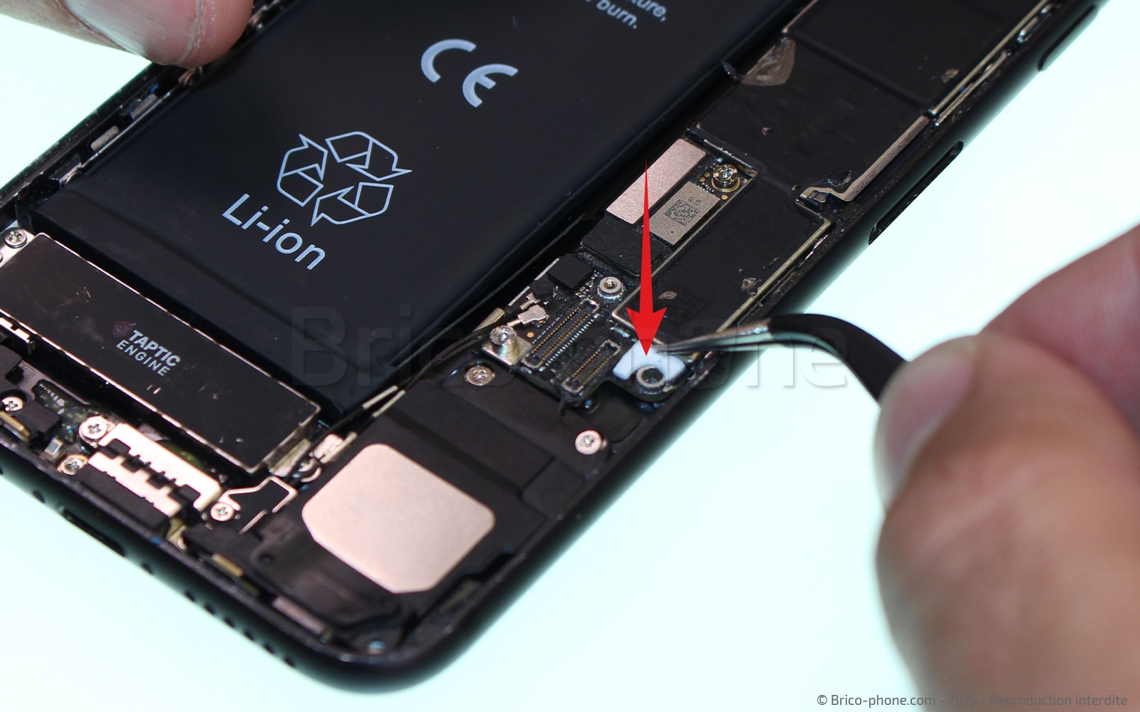 Changement de nappe du bouton Home sur iPhone 7 photo 3