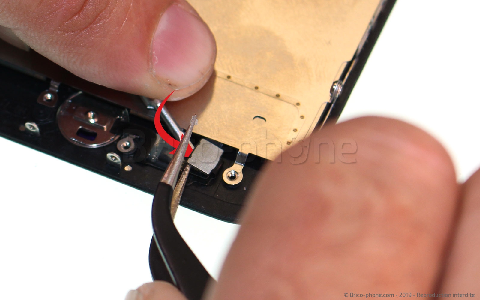 Changement de nappe du bouton Home sur iPhone 7 photo 1