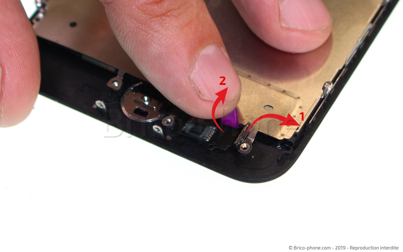 Changement de nappe du bouton Home sur iPhone 7 photo 2