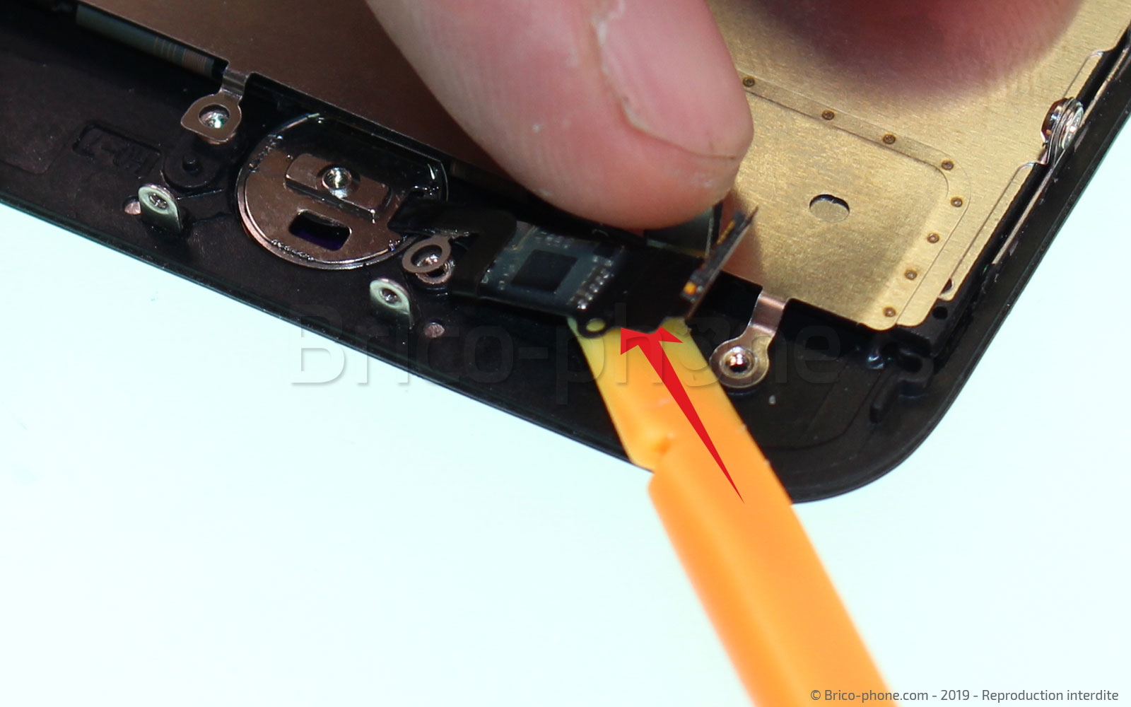 Changement de nappe du bouton Home sur iPhone 7 photo 3