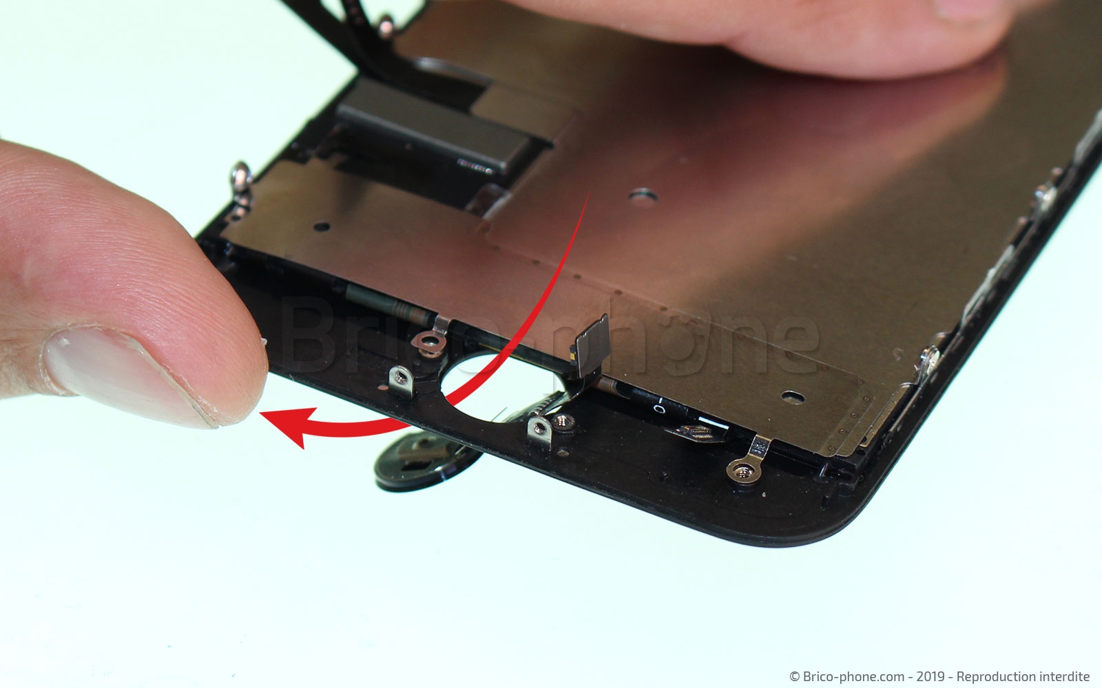 Changement de nappe du bouton Home sur iPhone 7 photo 4