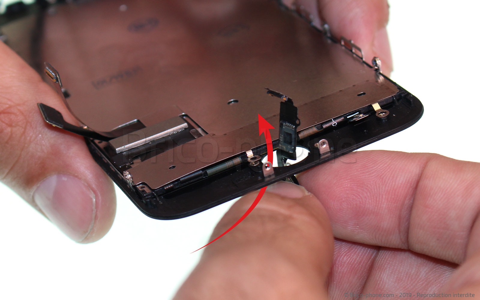 Changement de nappe du bouton Home sur iPhone 7 photo 1