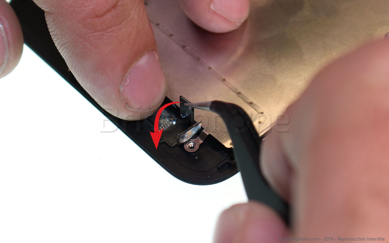 Changement de nappe du bouton Home sur iPhone 7 photo 2