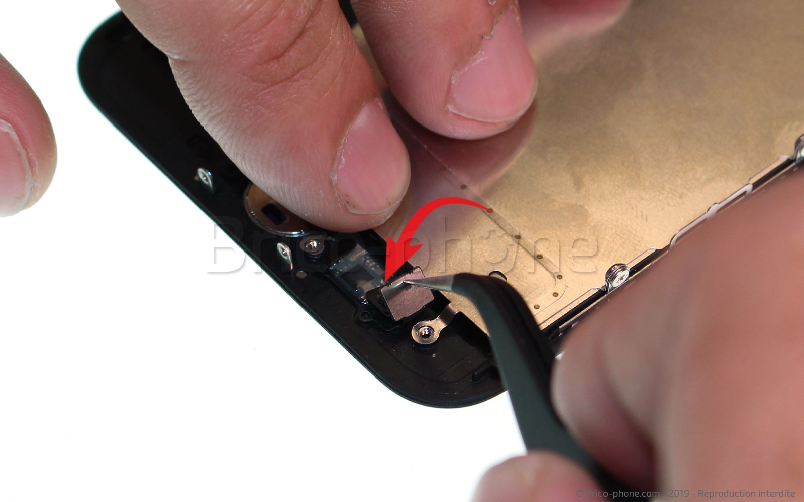 Changement de nappe du bouton Home sur iPhone 7 photo 3