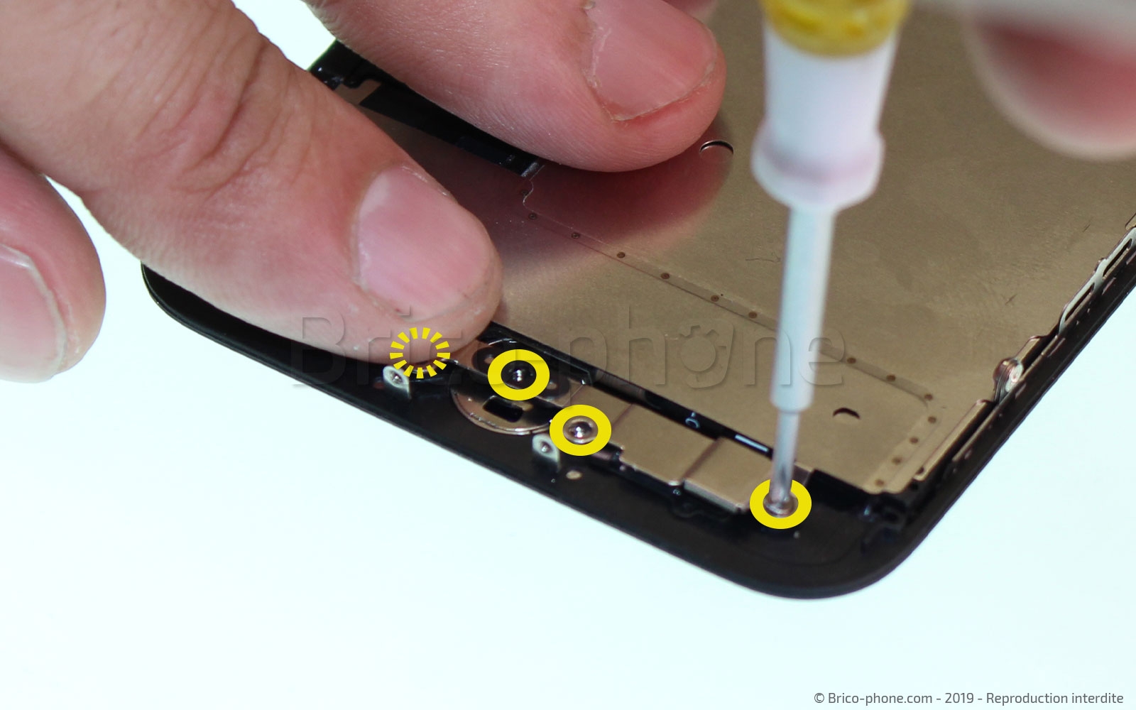 Changement de nappe du bouton Home sur iPhone 7 photo 4