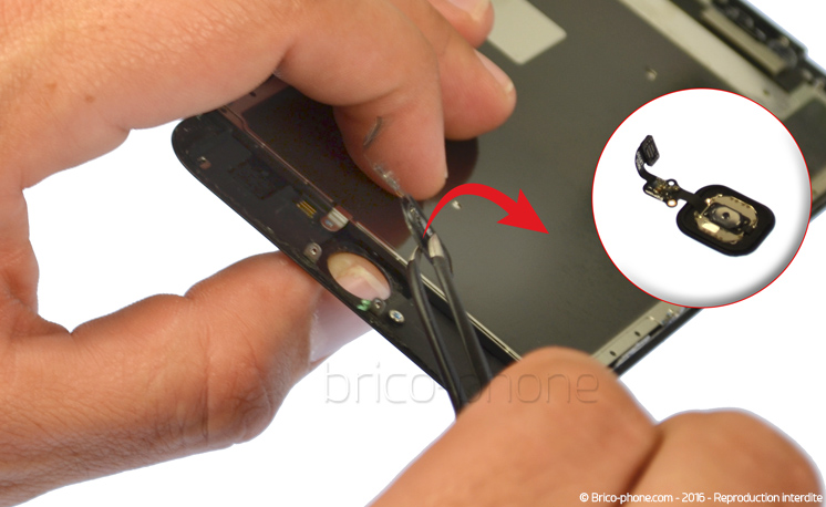 Changement de nappe caméra avant Facetime sur iPhone 6S Plus photo 1