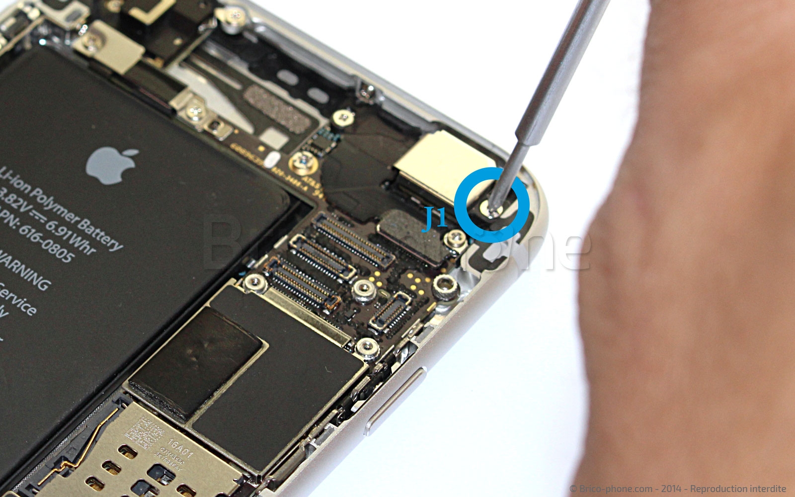 Changement d'antenne réseau (WiFi-GPS-Bluetooth) sur iPhone 6 photo 1