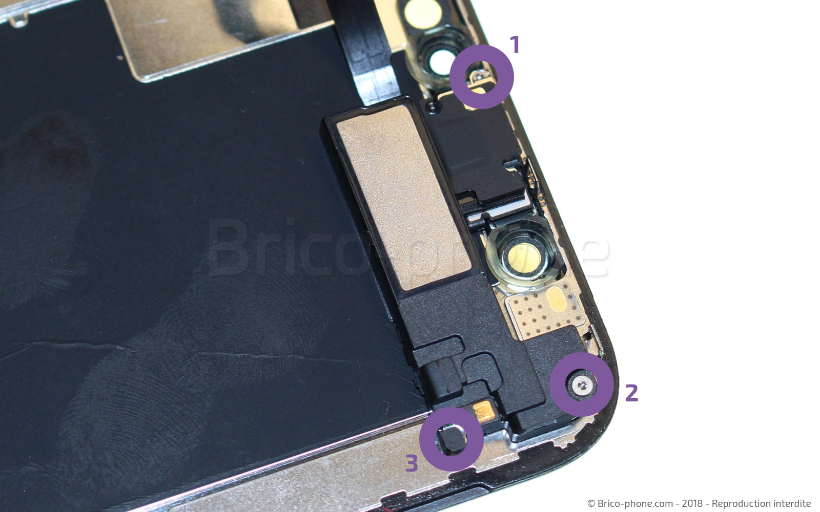 Changement du haut-parleur interne sur iPhone XS photo 1