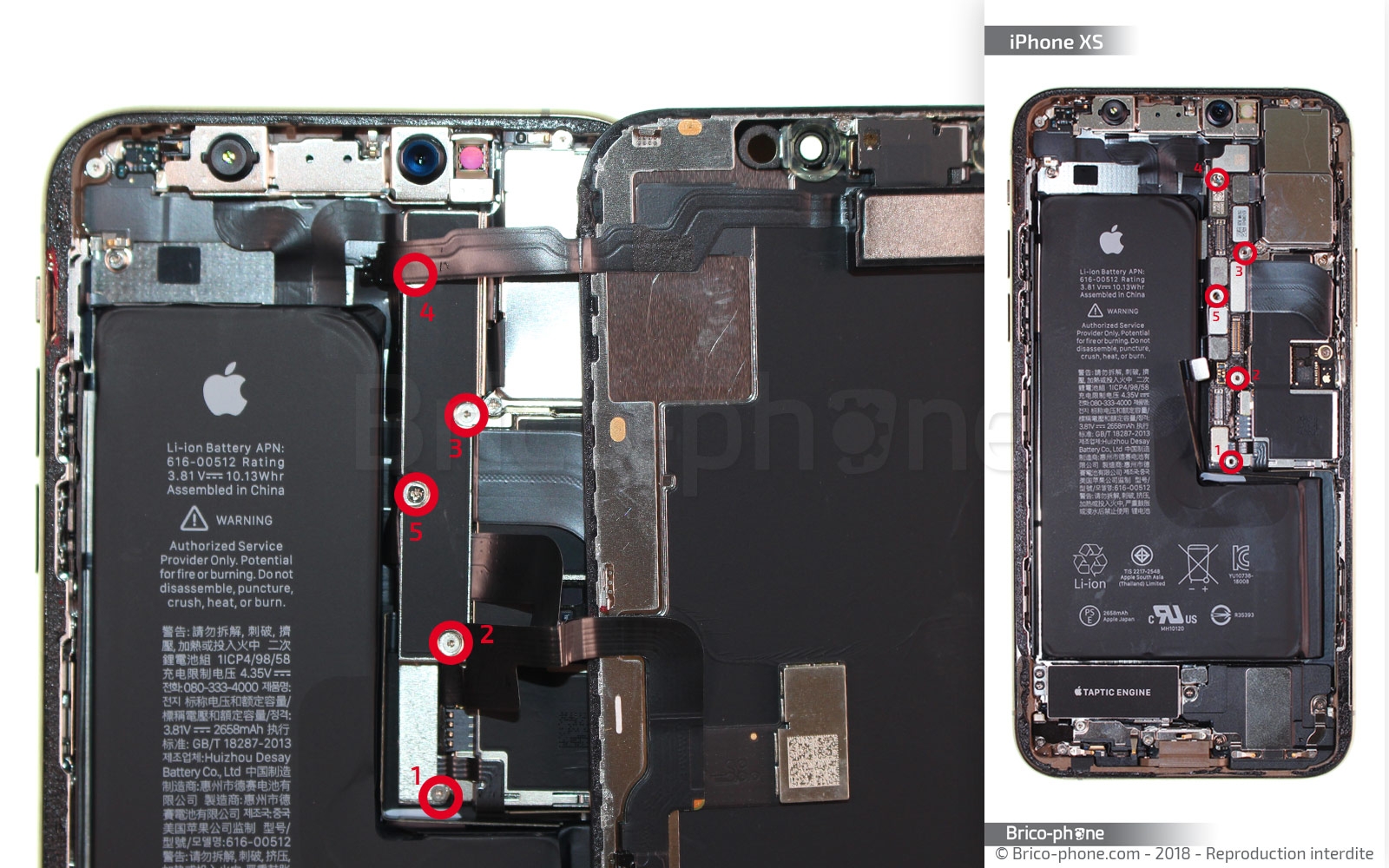 Changement du connecteur de charge sur iPhone XS photo 1