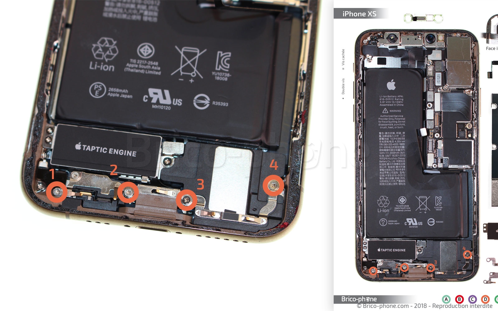 Changement du connecteur de charge sur iPhone XS photo 1