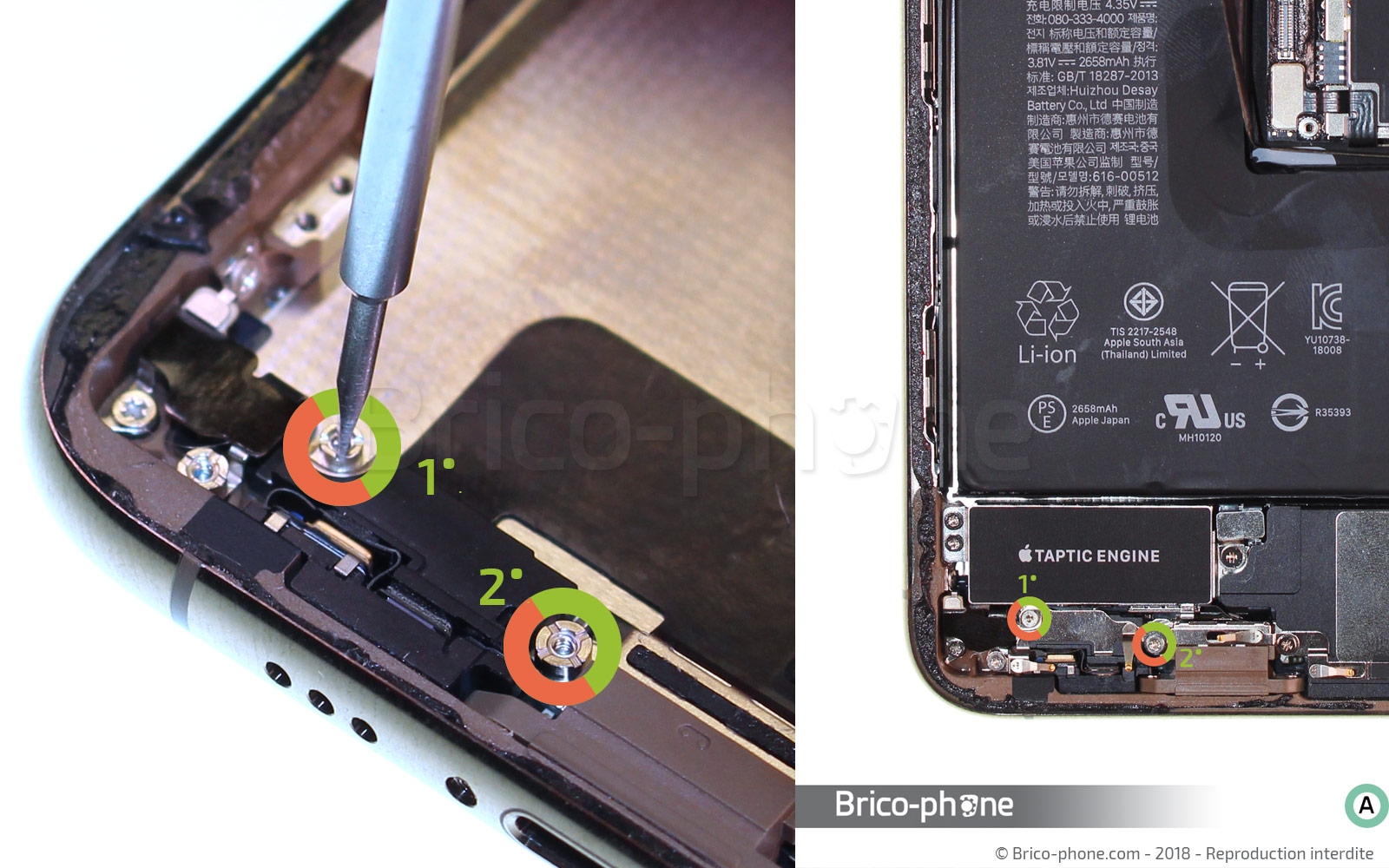 Changement du connecteur de charge sur iPhone XS photo 1