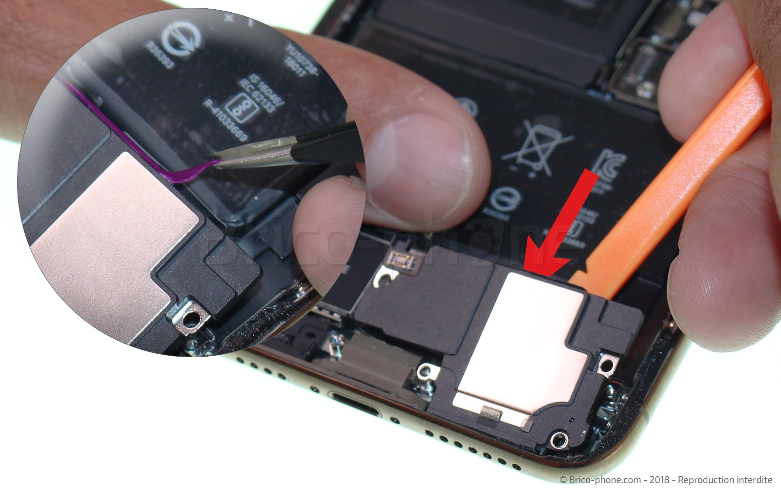 Changement du haut-parleur externe sur iPhone XS Max photo 1
