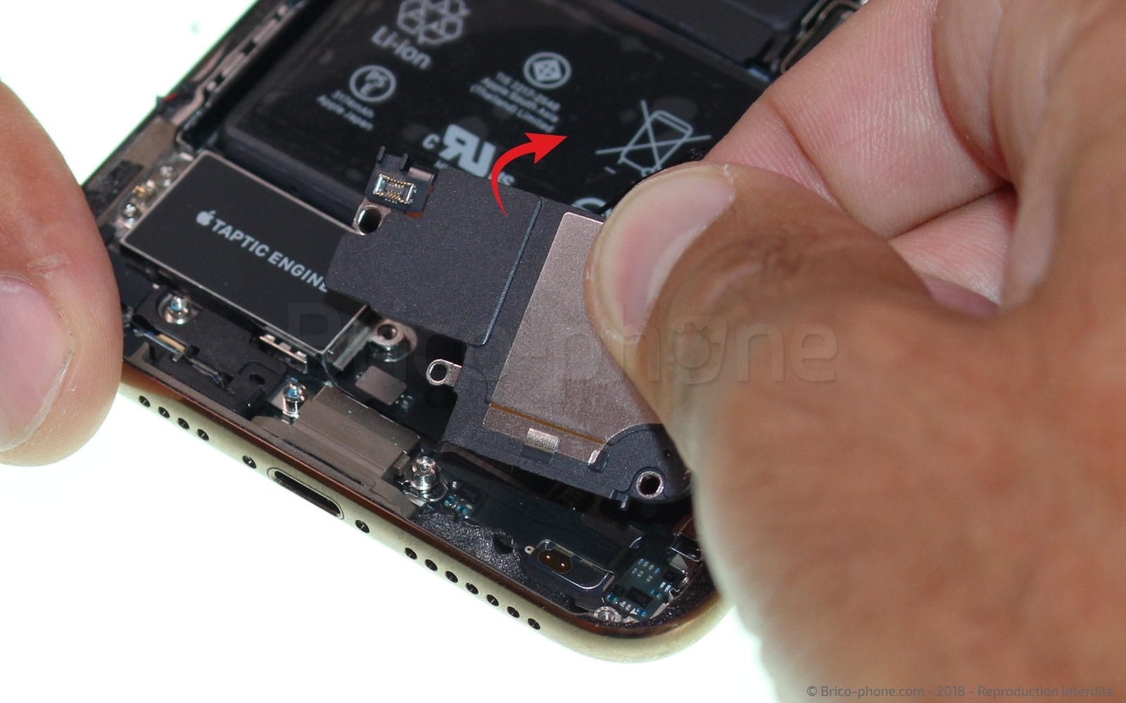 Changement du haut-parleur externe sur iPhone XS Max photo 2