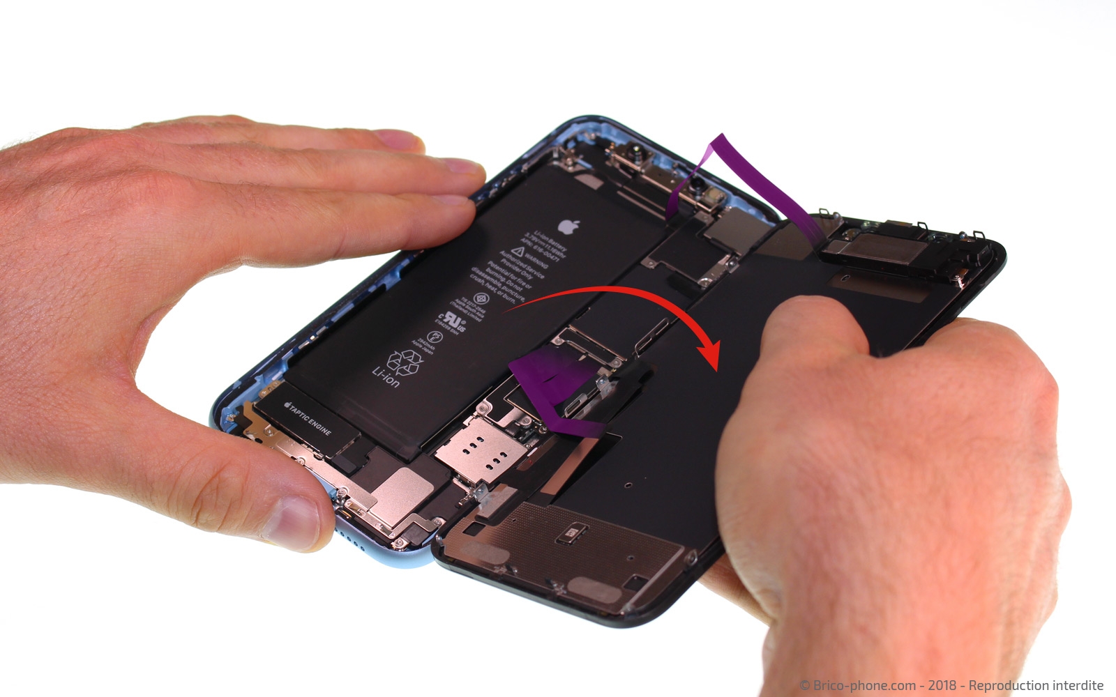 Changement du vibreur Taptic Engine sur iPhone XR photo 4