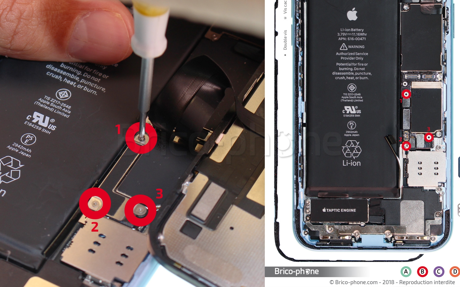 Changement du vibreur Taptic Engine sur iPhone XR photo 1