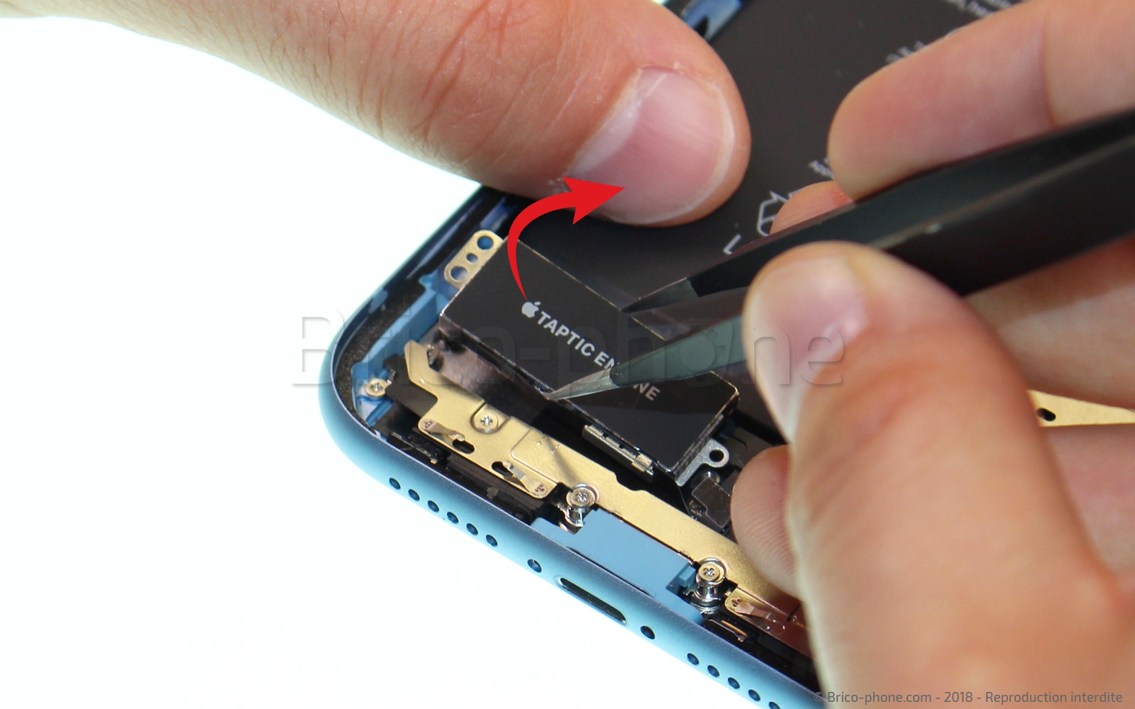 Changement du vibreur Taptic Engine sur iPhone XR photo 3