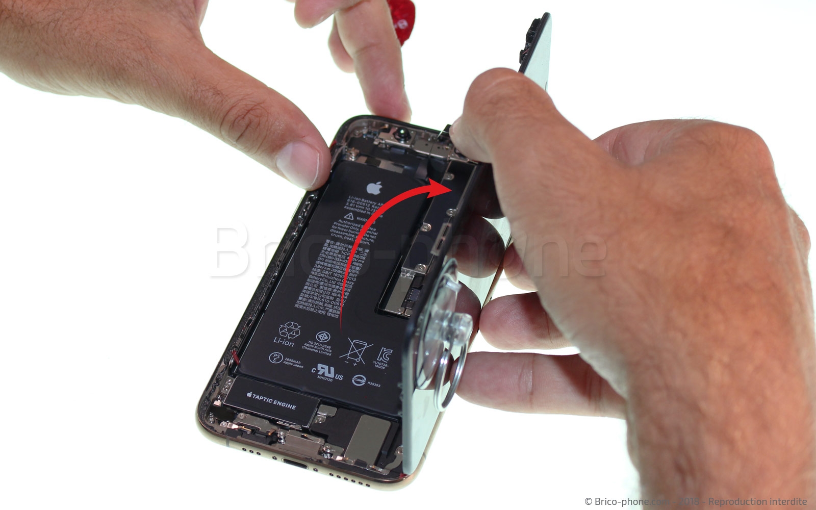 Changement du vibreur Taptic Engine sur iPhone XS photo 2