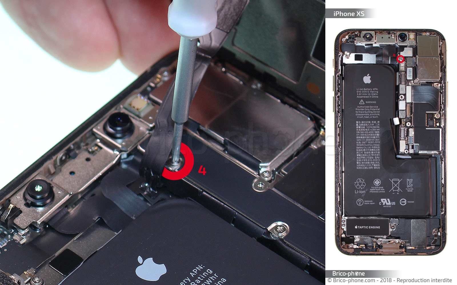 Changement du vibreur Taptic Engine sur iPhone XS photo 2