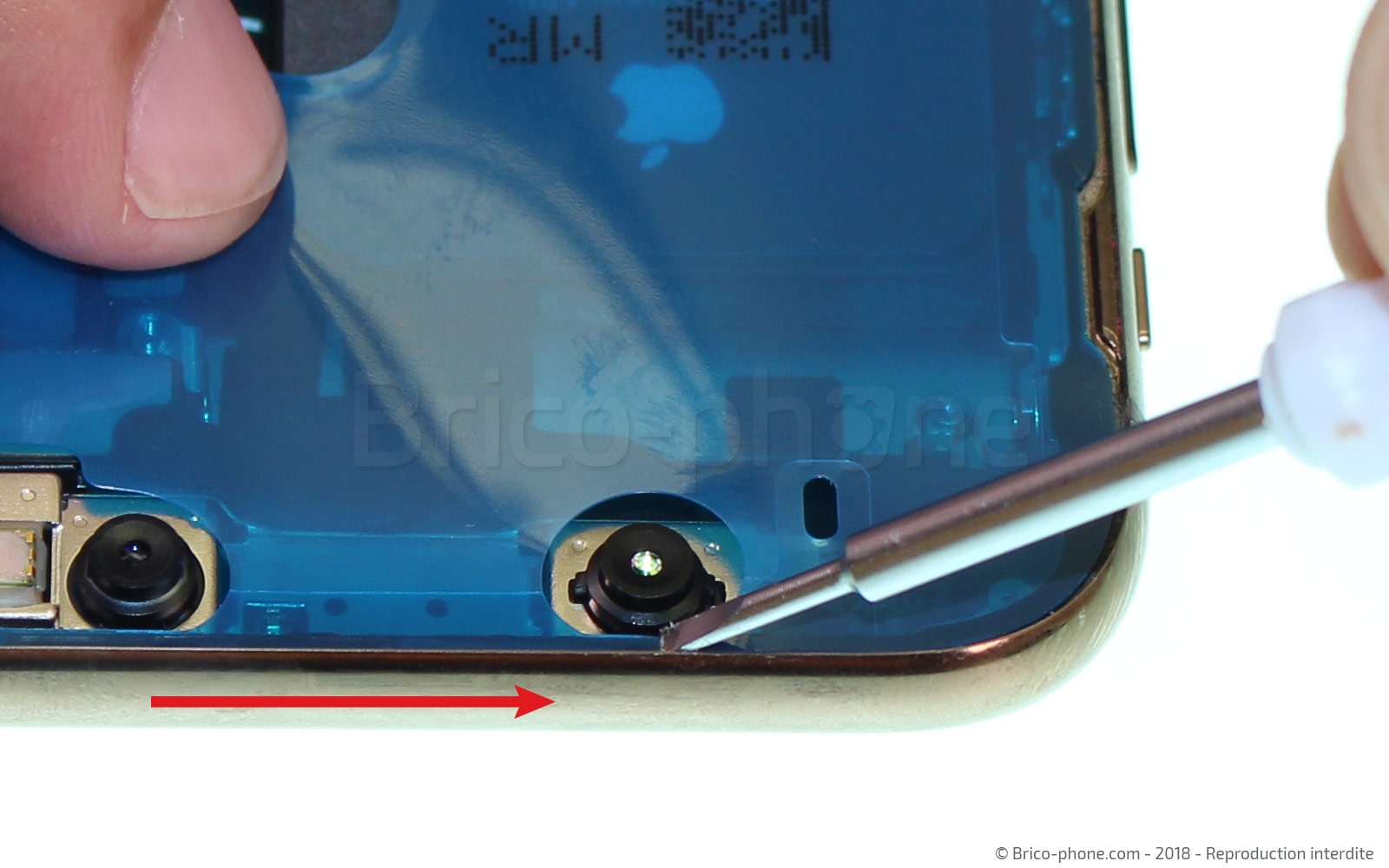 Changement du vibreur Taptic Engine sur iPhone XS photo 2