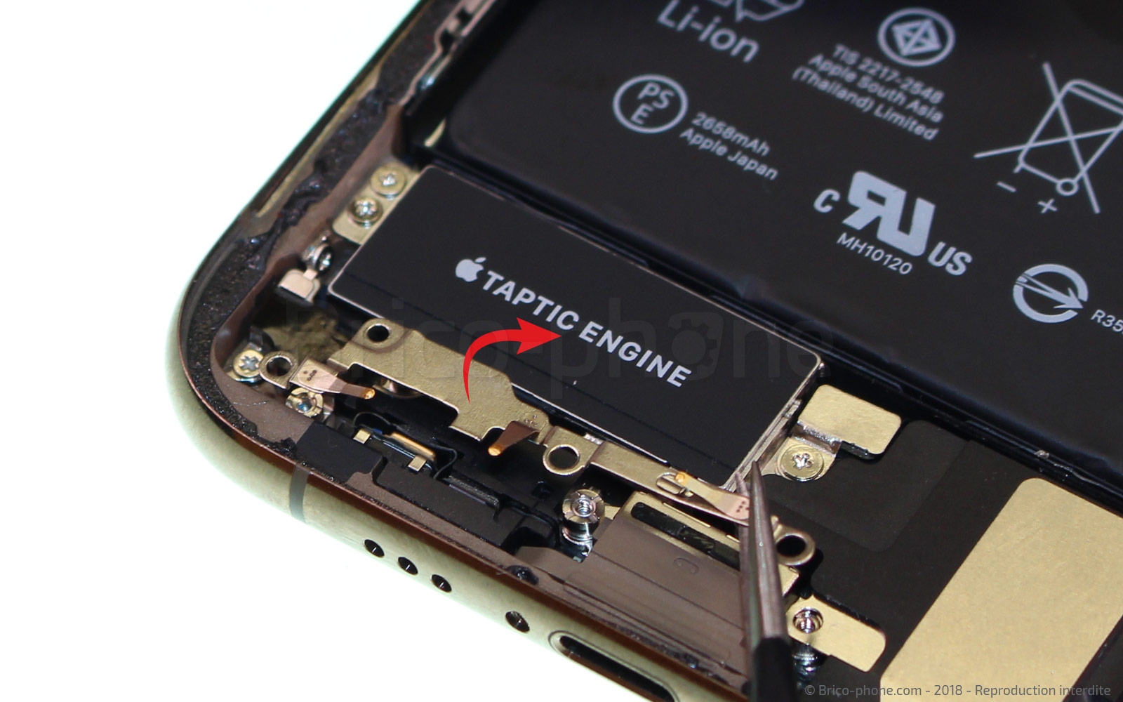 Changement du vibreur Taptic Engine sur iPhone XS photo 2