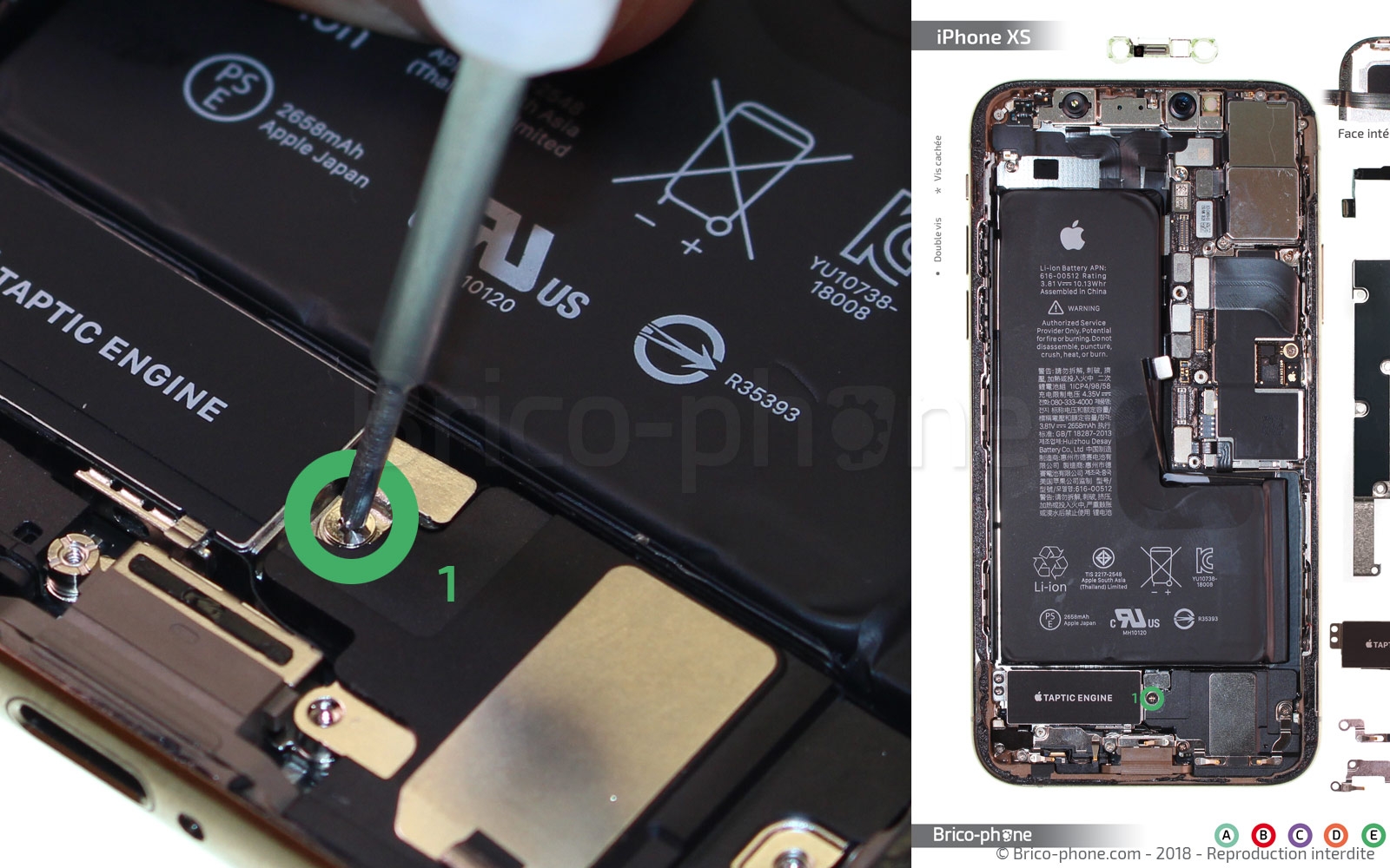 Changement du vibreur Taptic Engine sur iPhone XS photo 1