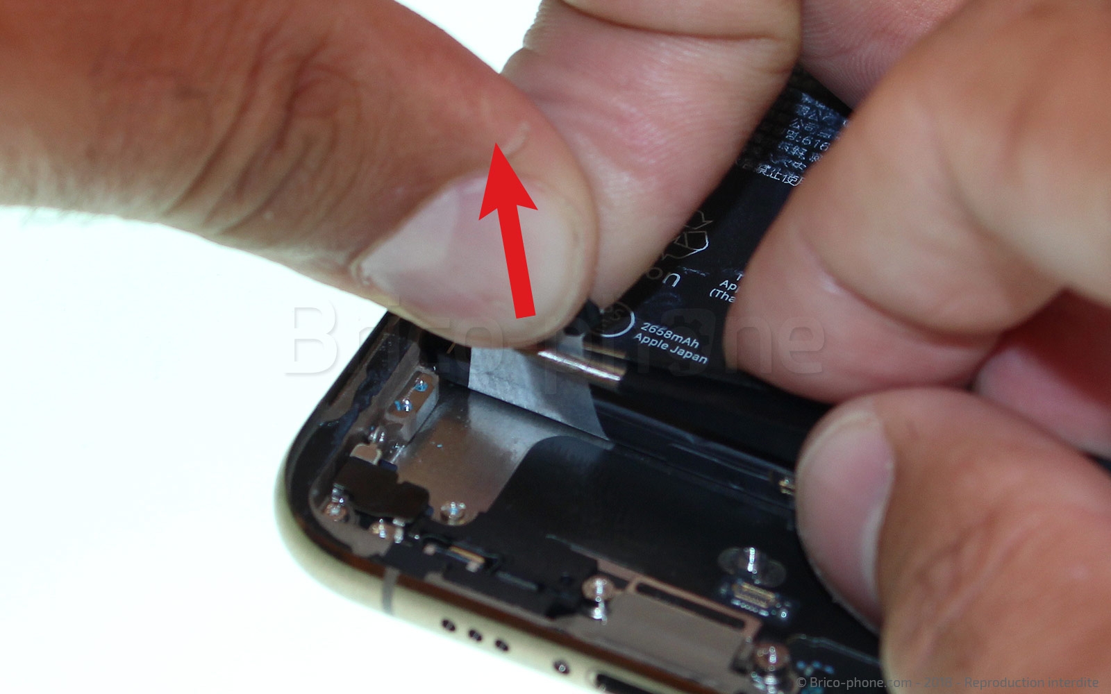 Changement de caméra avant Facetime sur iPhone XS photo 2