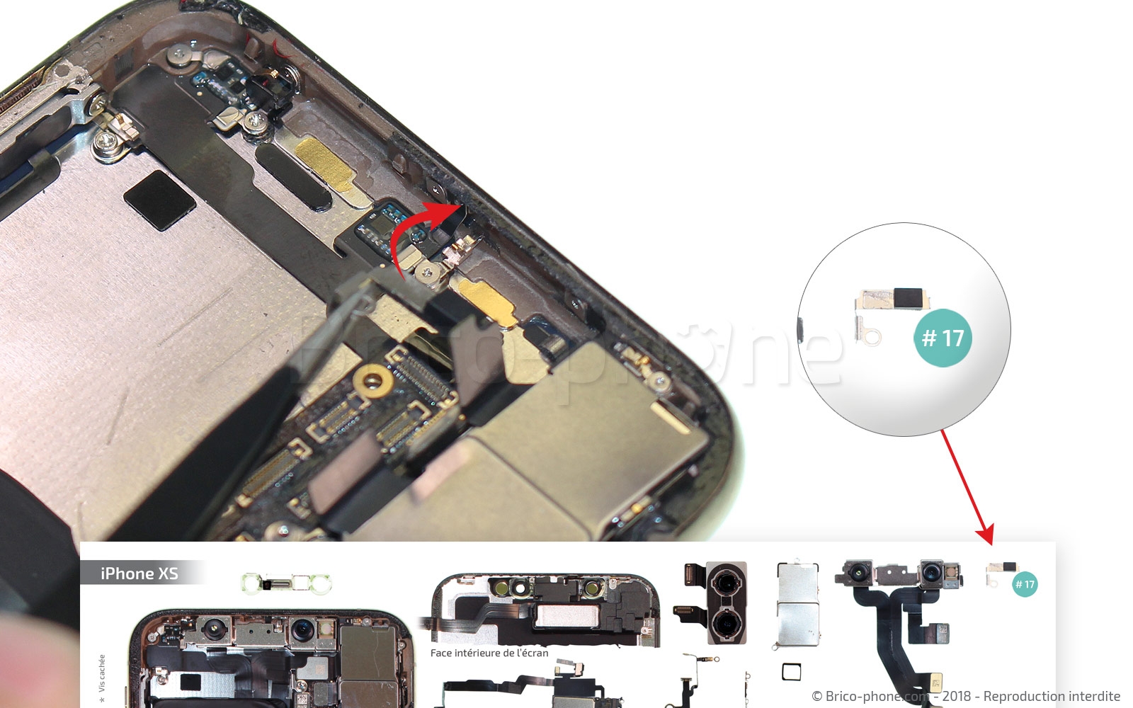 Changement d'antenne WiFi sur iPhone XS photo 2