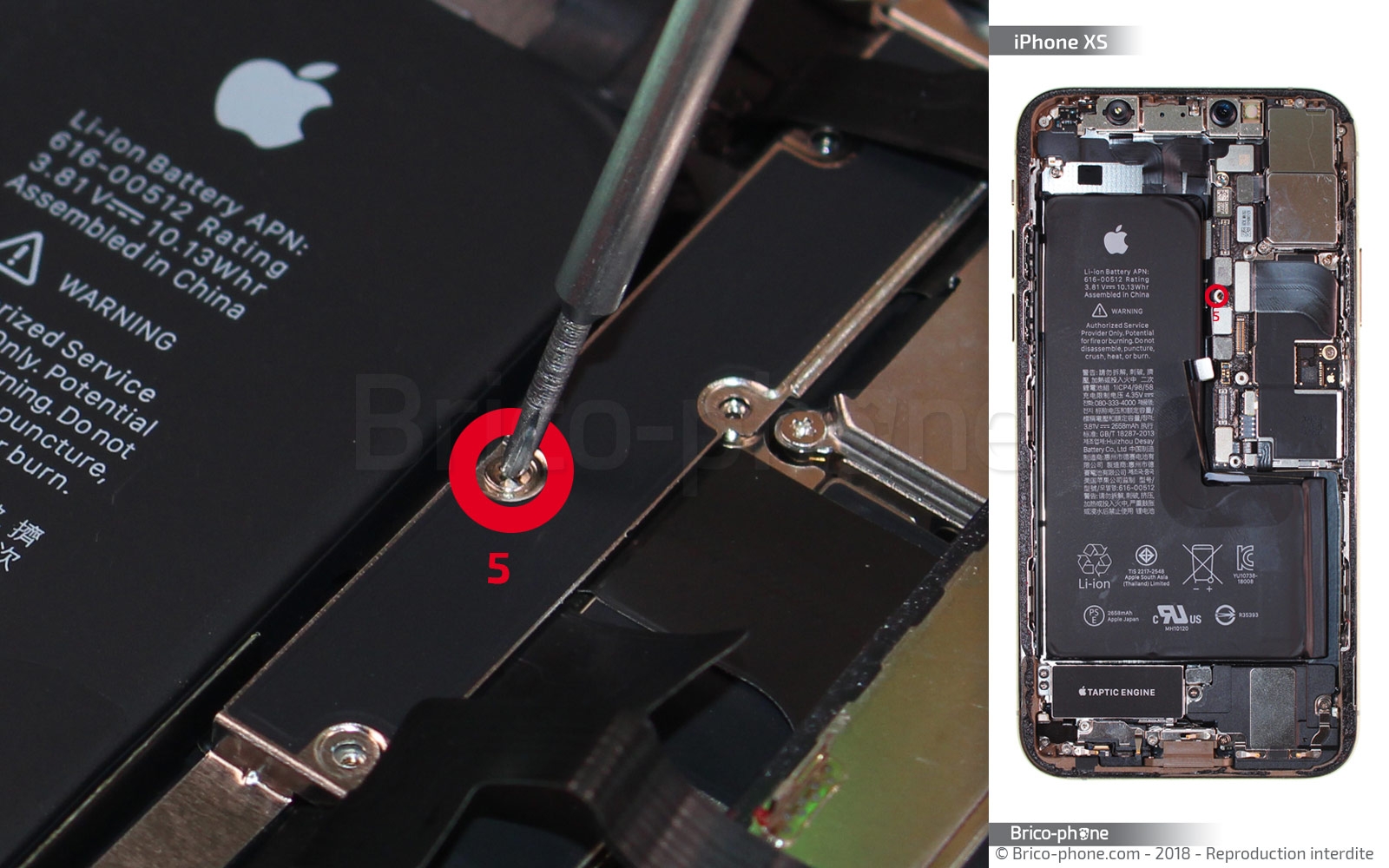 Changement de nappe volume et induction sur iPhone XS photo 3