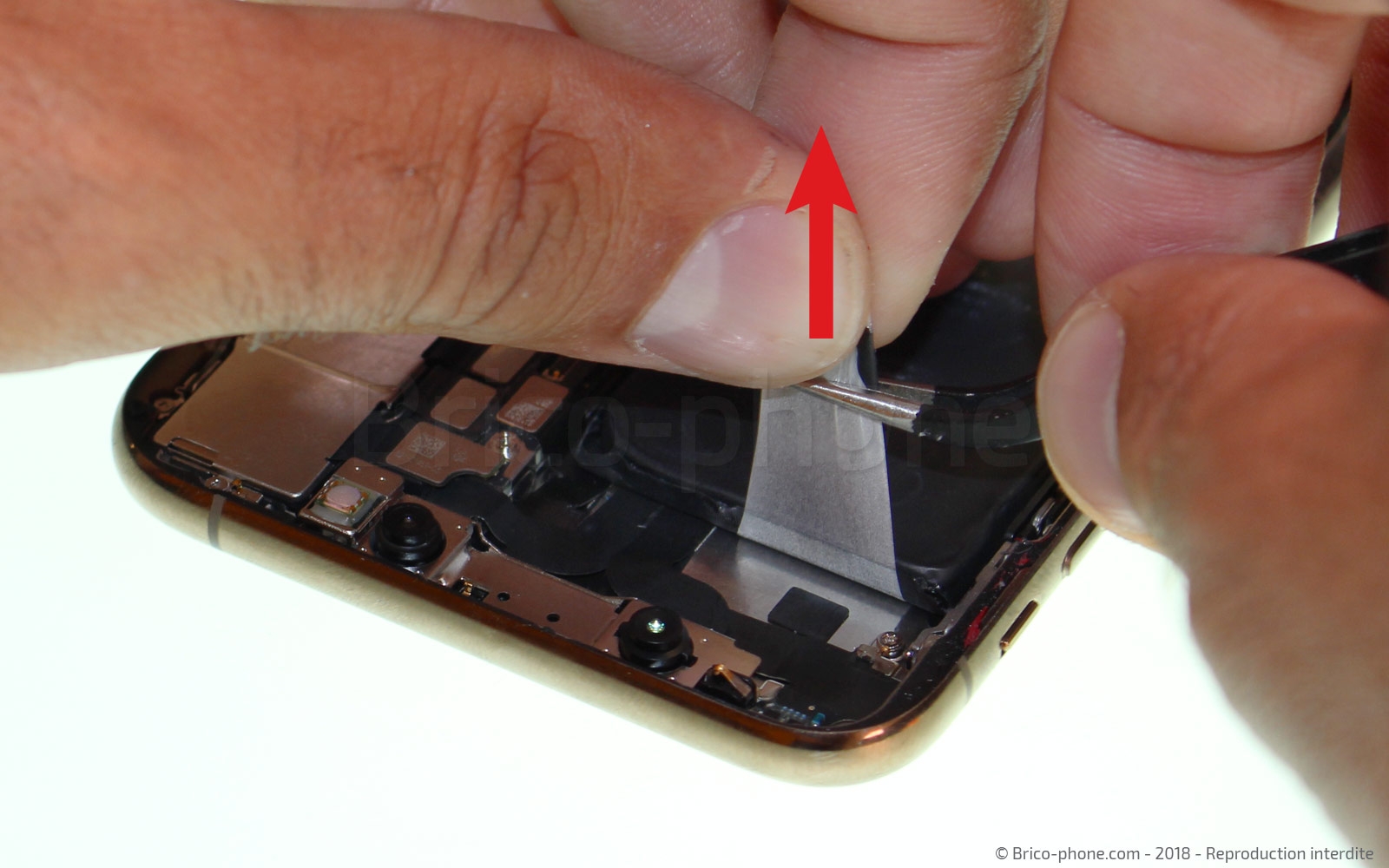 Changement de nappe volume et induction sur iPhone XS photo 2