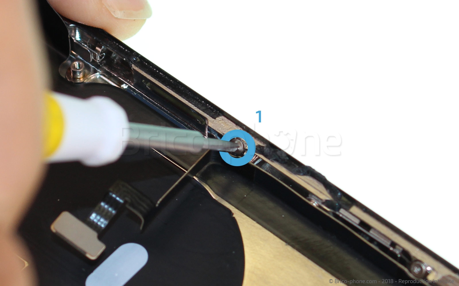 Changement de nappe volume et induction sur iPhone XS photo 2