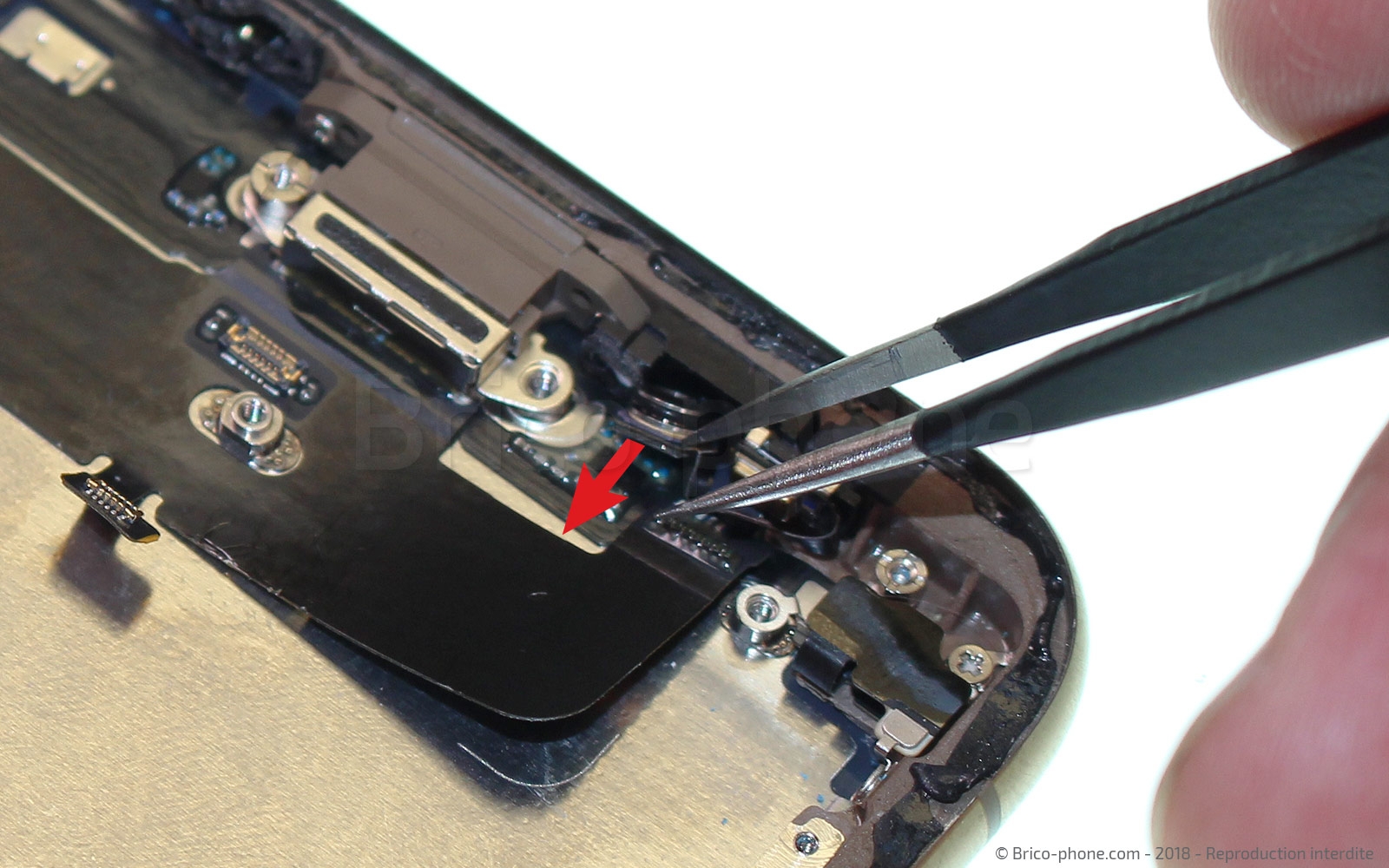 Changement de nappe volume et induction sur iPhone XS photo 1