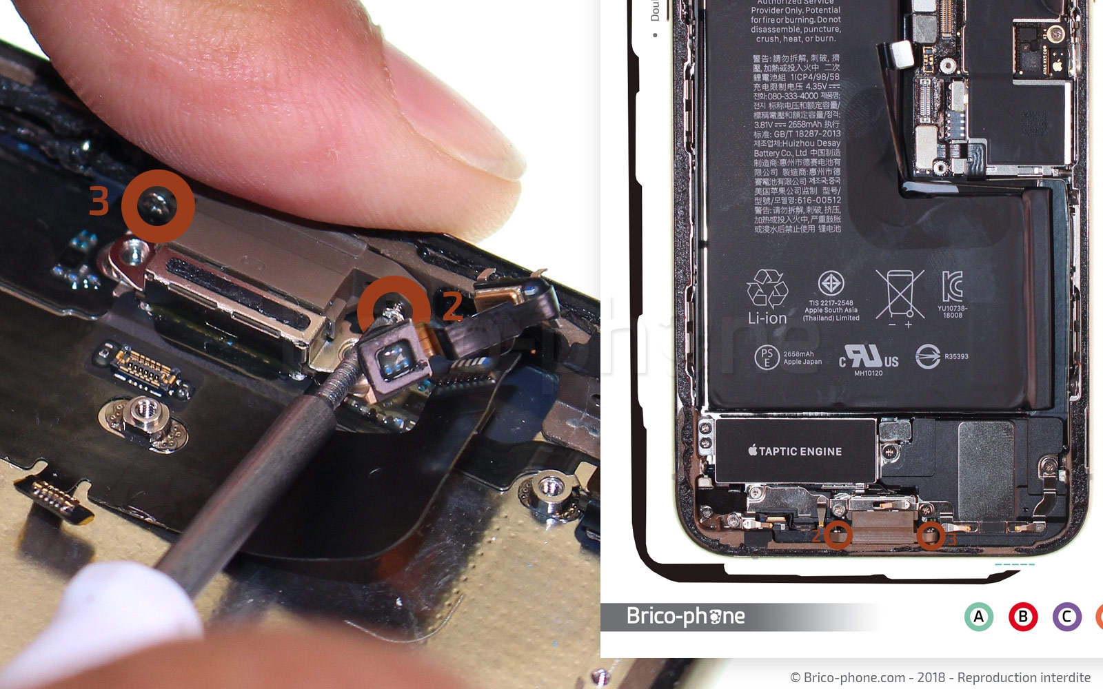 Changement de nappe volume et induction sur iPhone XS photo 4