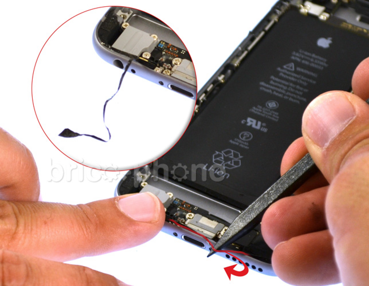 Changement du connecteur de charge sur iPhone 6S photo 1