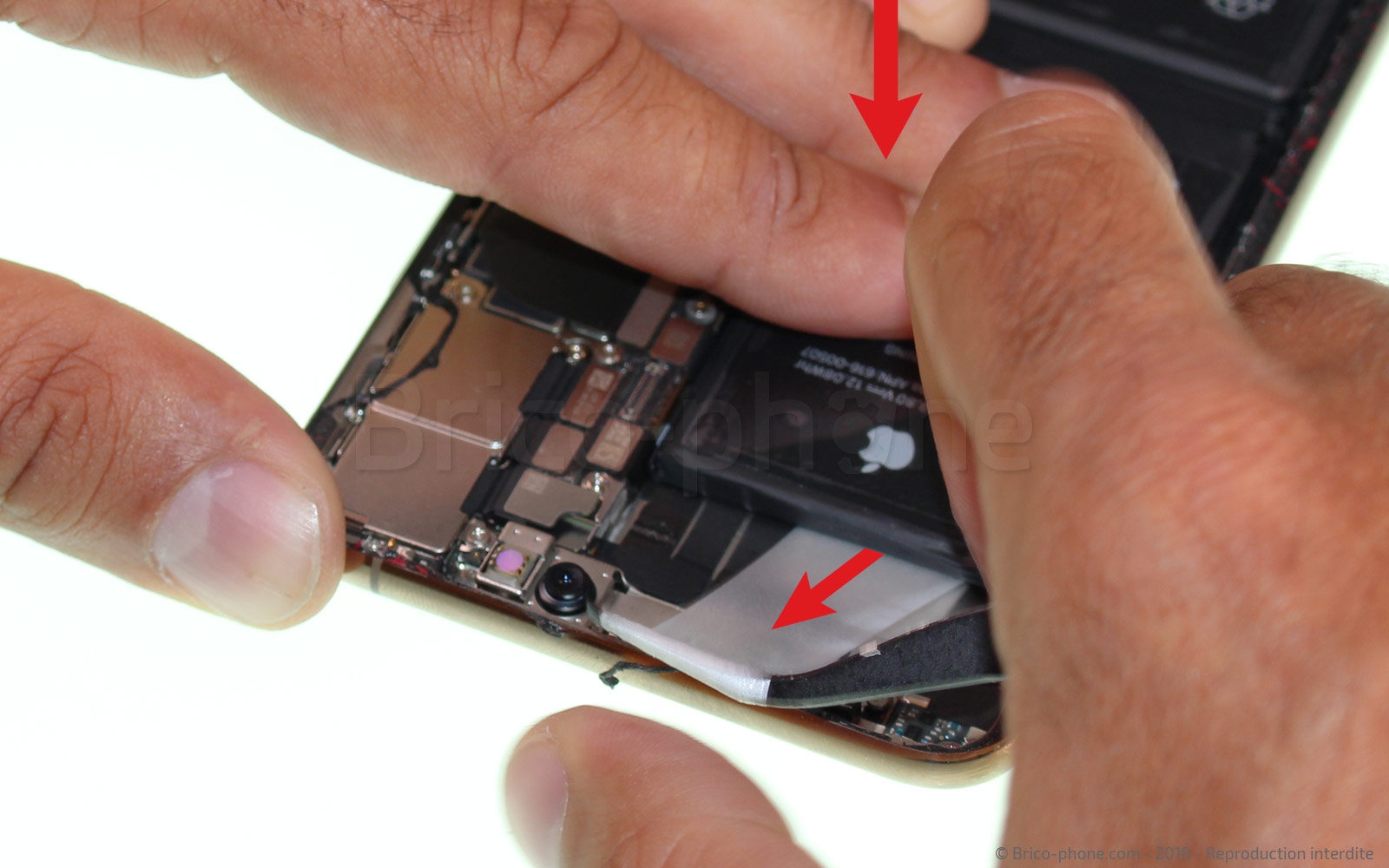 Changement du connecteur de charge sur iPhone XS Max photo 3