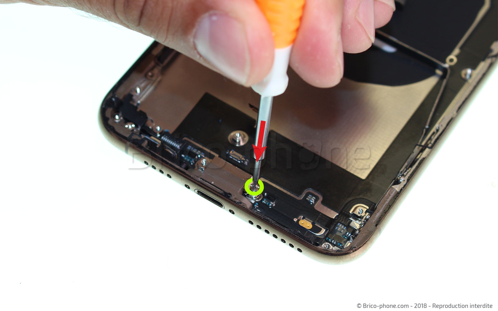 Changement du connecteur de charge sur iPhone XS Max photo 1