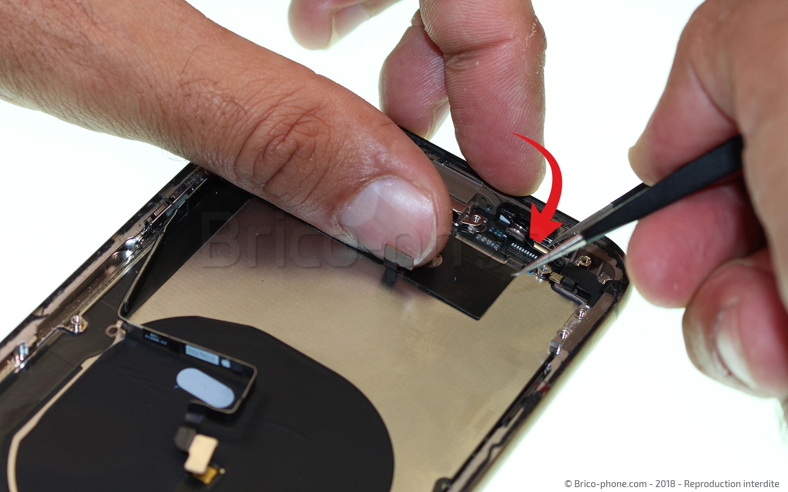 Changement du connecteur de charge sur iPhone XS Max photo 1