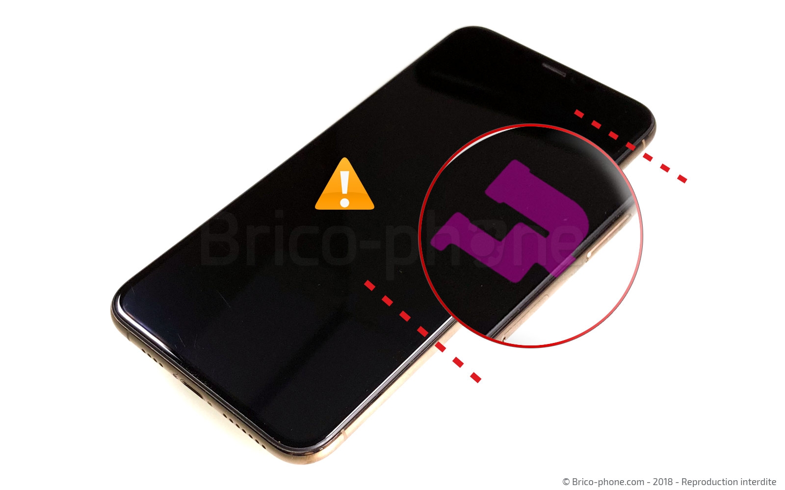 Changement du vibreur Taptic Engine sur iPhone XS Max photo 1