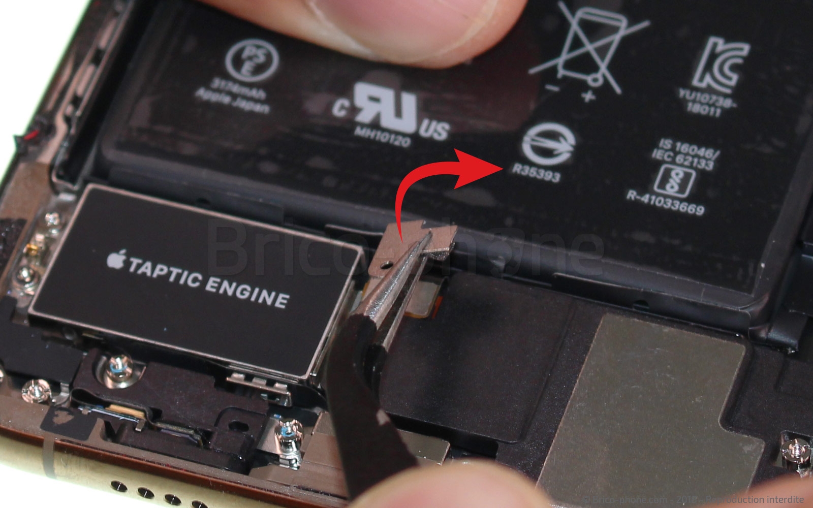 Changement du vibreur Taptic Engine sur iPhone XS Max photo 2