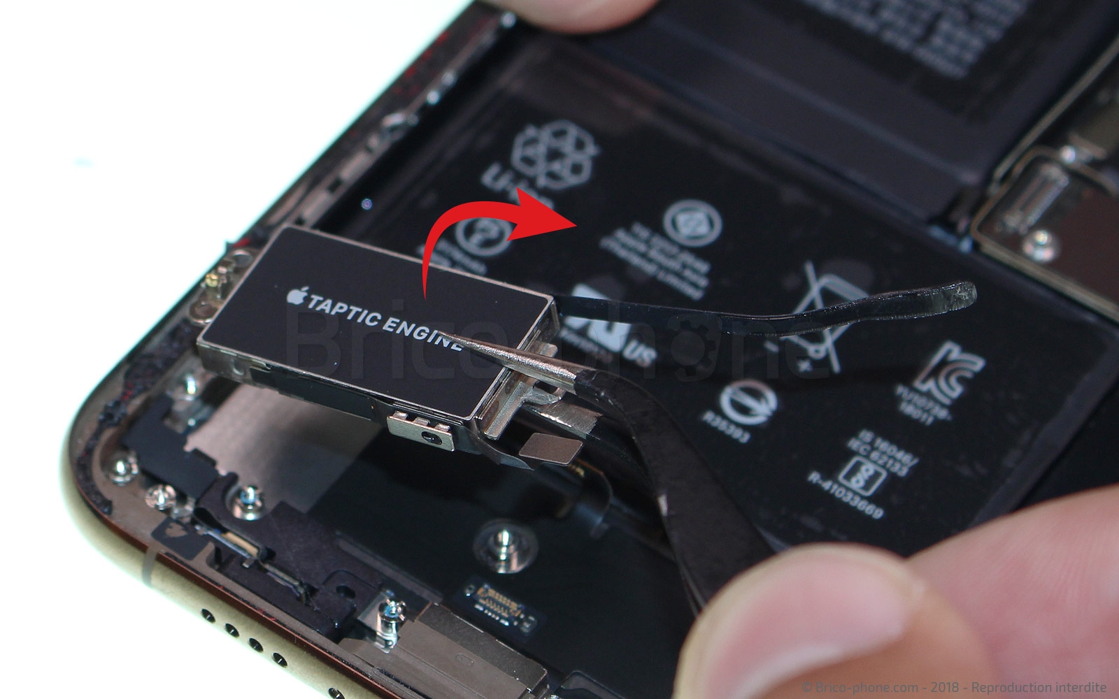 Changement du vibreur Taptic Engine sur iPhone XS Max photo 3