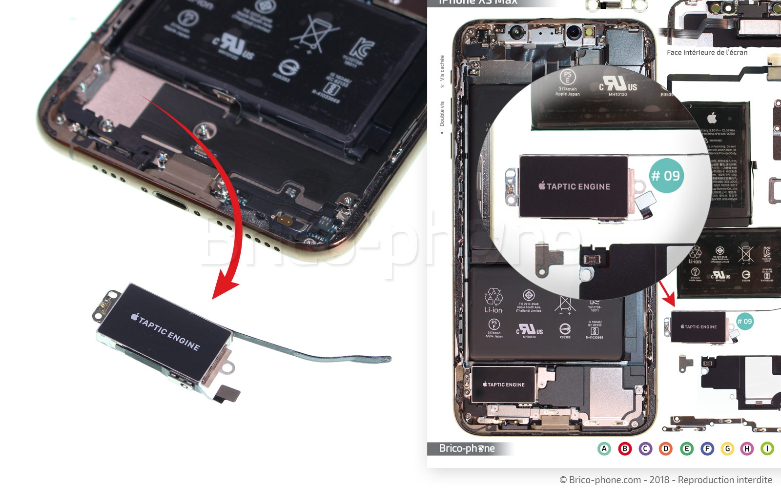 Changement du vibreur Taptic Engine sur iPhone XS Max photo 4