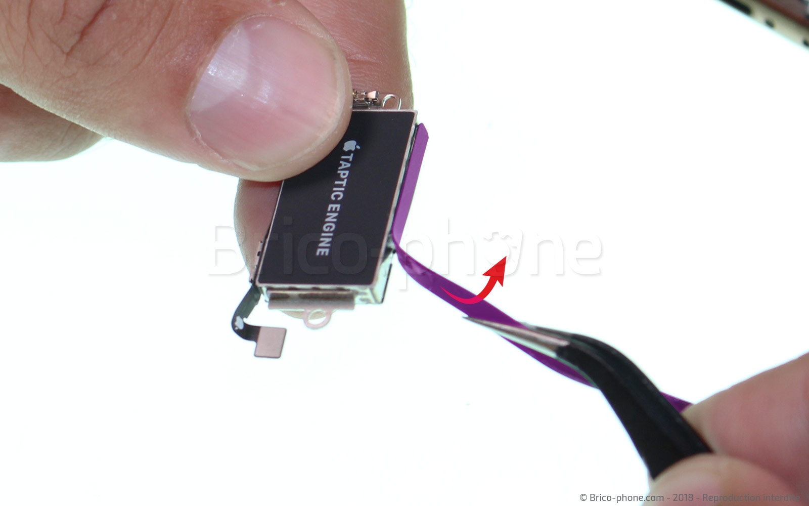 Changement du vibreur Taptic Engine sur iPhone XS Max photo 1